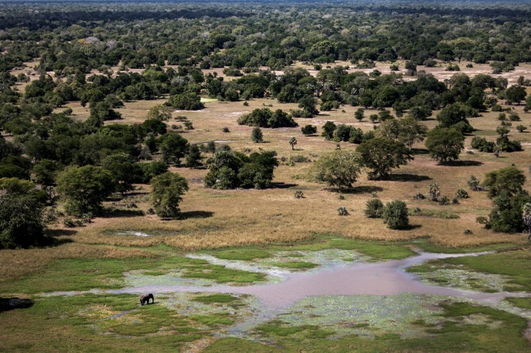 TO GO WITH AFP STORY EX GORONGOSA BY PIERRE DONADIEU An elephant stands in a watering hole on May 28, 2016 at the Gorongosa National Park in Gorongosa.. Passing through the aged faded gates into Gorongosa National Park, it's difficult to imagine you've just entered Mozambique's largest wildlife sanctuary. Bled dry by a long civil war that ravaged Mozambique from 1976 to 1992, the park has seen a remarkable turnaround in the last decade. (Photo by John WESSELS / AFP)